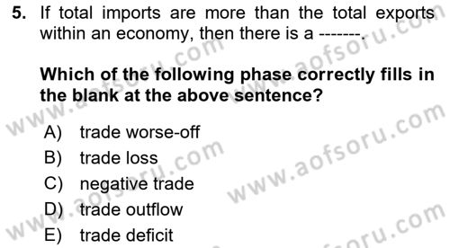 Foreign Trade Dersi Ara Sınavı Deneme Sınav Soruları 5. Soru