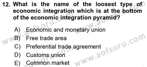 Foreign Trade Dersi 2019 - 2020 Yılı (Final) Dönem Sonu Sınav Soruları 12. Soru