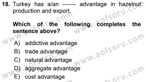 Foreign Trade Dersi 2021 - 2022 Yılı (Vize) Ara Sınav Soruları 18. Soru