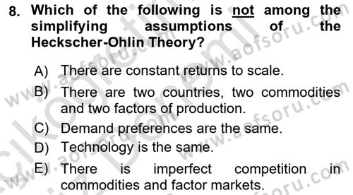 Foreign Trade Dersi 2021 - 2022 Yılı (Vize) Ara Sınav Soruları 8. Soru