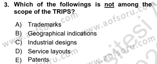 Foreign Trade Dersi 2021 - 2022 Yılı (Final) Dönem Sonu Sınav Soruları 3. Soru