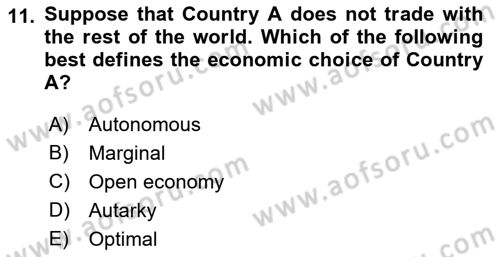 Foreign Trade Dersi Ara Sınavı Deneme Sınav Soruları 11. Soru