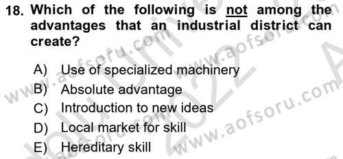 Foreign Trade Dersi Ara Sınavı Deneme Sınav Soruları 18. Soru