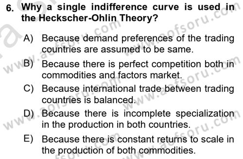 Foreign Trade Dersi Ara Sınavı Deneme Sınav Soruları 6. Soru