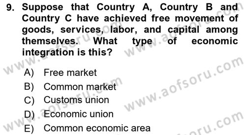 Foreign Trade Dersi 2022 - 2023 Yılı Yaz Okulu Sınav Soruları 9. Soru