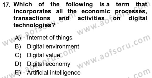 Foreign Trade Dersi Ara Sınavı Deneme Sınav Soruları 17. Soru