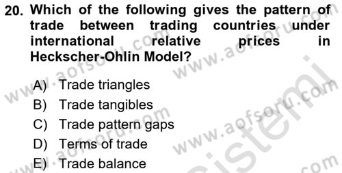 Foreign Trade Dersi Ara Sınavı Deneme Sınav Soruları 20. Soru