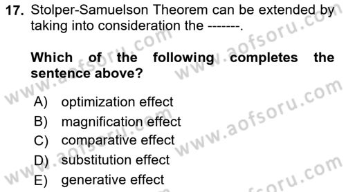 Foreign Trade Dersi 2023 - 2024 Yılı (Final) Dönem Sonu Sınav Soruları 17. Soru
