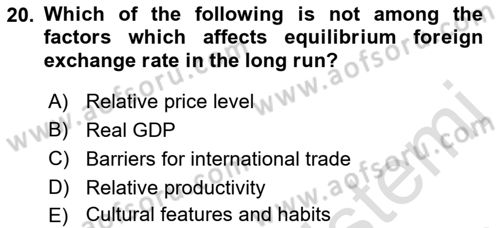Foreign Trade Dersi 2023 - 2024 Yılı (Final) Dönem Sonu Sınav Soruları 20. Soru