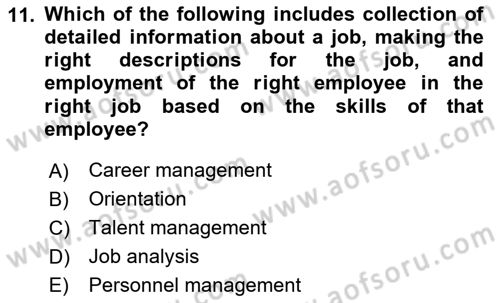 Human Resource Management Dersi 2020 - 2021 Yılı Yaz Okulu Sınav Soruları 11. Soru