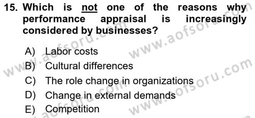 Human Resource Management Dersi 2020 - 2021 Yılı Yaz Okulu Sınav Soruları 15. Soru