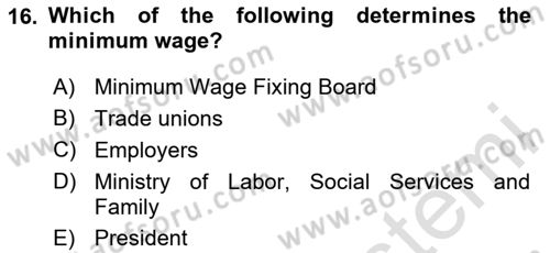 Human Resource Management Dersi 2020 - 2021 Yılı Yaz Okulu Sınav Soruları 16. Soru