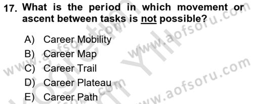 Human Resource Management Dersi 2020 - 2021 Yılı Yaz Okulu Sınav Soruları 17. Soru