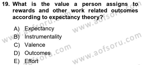 Human Resource Management Dersi 2020 - 2021 Yılı Yaz Okulu Sınav Soruları 19. Soru