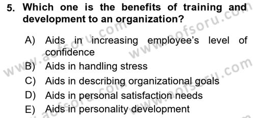 Human Resource Management Dersi 2020 - 2021 Yılı Yaz Okulu Sınav Soruları 5. Soru