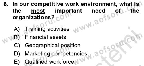 Human Resource Management Dersi 2020 - 2021 Yılı Yaz Okulu Sınav Soruları 6. Soru