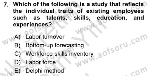Human Resource Management Dersi 2020 - 2021 Yılı Yaz Okulu Sınav Soruları 7. Soru