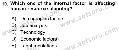 Human Resource Management Dersi 2021 - 2022 Yılı (Vize) Ara Sınav Soruları 10. Soru