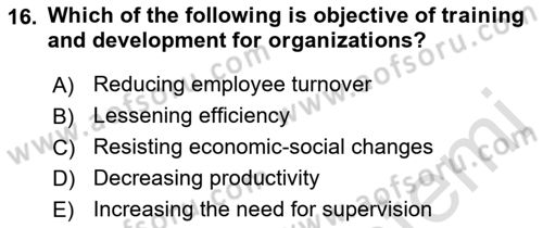 Human Resource Management Dersi 2021 - 2022 Yılı (Vize) Ara Sınav Soruları 16. Soru