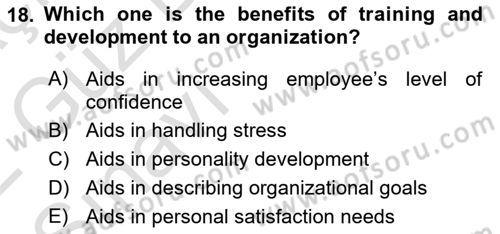 Human Resource Management Dersi 2021 - 2022 Yılı (Vize) Ara Sınav Soruları 18. Soru