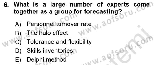 Human Resource Management Dersi 2021 - 2022 Yılı (Vize) Ara Sınav Soruları 6. Soru