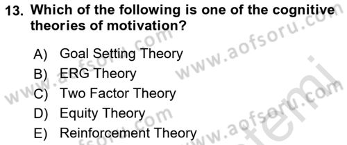 Human Resource Management Dersi 2021 - 2022 Yılı (Final) Dönem Sonu Sınav Soruları 13. Soru