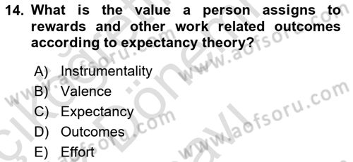 Human Resource Management Dersi 2021 - 2022 Yılı (Final) Dönem Sonu Sınav Soruları 14. Soru
