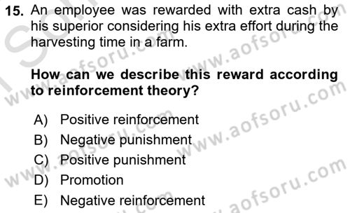 Human Resource Management Dersi 2021 - 2022 Yılı (Final) Dönem Sonu Sınav Soruları 15. Soru