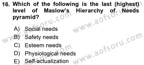 Human Resource Management Dersi 2021 - 2022 Yılı (Final) Dönem Sonu Sınav Soruları 16. Soru