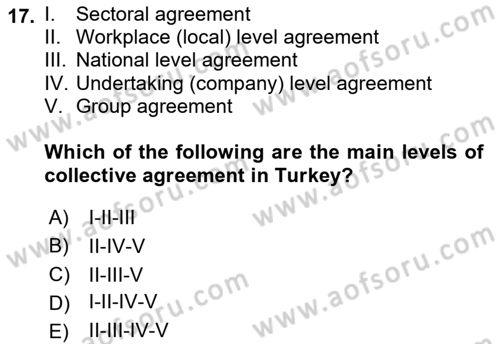 Human Resource Management Dersi 2021 - 2022 Yılı (Final) Dönem Sonu Sınav Soruları 17. Soru