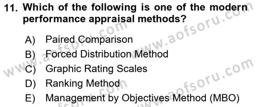 Human Resource Management Dersi 2021 - 2022 Yılı Yaz Okulu Sınav Soruları 11. Soru