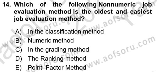 Human Resource Management Dersi 2021 - 2022 Yılı Yaz Okulu Sınav Soruları 14. Soru