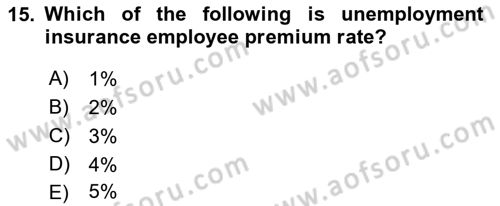 Human Resource Management Dersi 2021 - 2022 Yılı Yaz Okulu Sınav Soruları 15. Soru