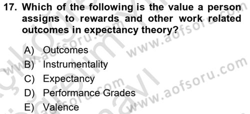 Human Resource Management Dersi 2021 - 2022 Yılı Yaz Okulu Sınav Soruları 17. Soru