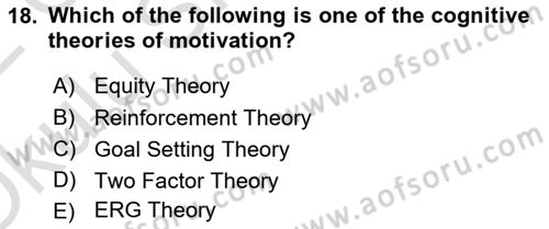 Human Resource Management Dersi 2021 - 2022 Yılı Yaz Okulu Sınav Soruları 18. Soru