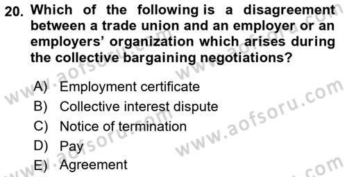 Human Resource Management Dersi 2021 - 2022 Yılı Yaz Okulu Sınav Soruları 20. Soru