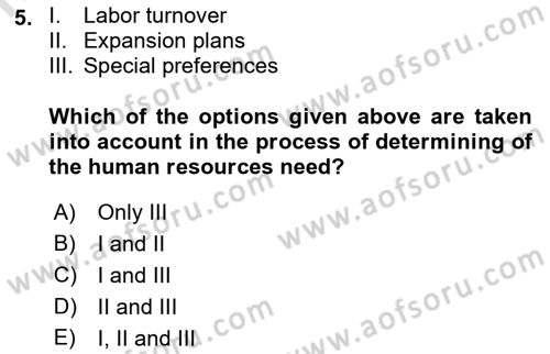 Human Resource Management Dersi 2021 - 2022 Yılı Yaz Okulu Sınav Soruları 5. Soru
