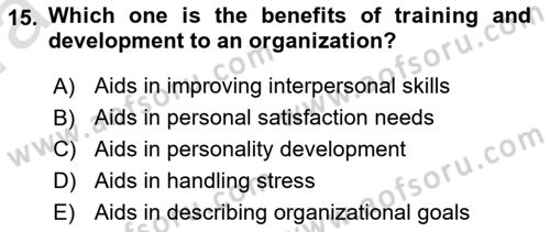 Human Resource Management Dersi 2022 - 2023 Yılı (Vize) Ara Sınav Soruları 15. Soru
