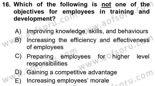 Human Resource Management Dersi 2022 - 2023 Yılı (Vize) Ara Sınav Soruları 16. Soru