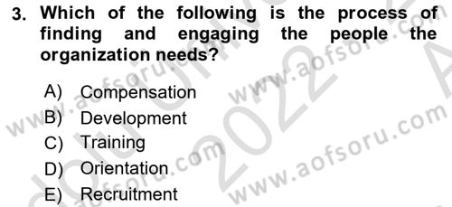 Human Resource Management Dersi 2022 - 2023 Yılı (Vize) Ara Sınav Soruları 3. Soru