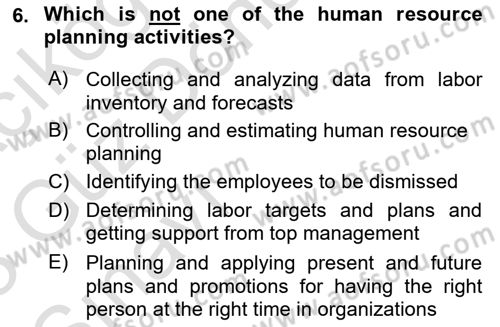 Human Resource Management Dersi 2022 - 2023 Yılı (Vize) Ara Sınav Soruları 6. Soru