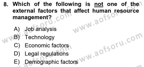 Human Resource Management Dersi 2022 - 2023 Yılı (Vize) Ara Sınav Soruları 8. Soru
