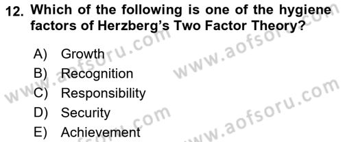 Human Resource Management Dersi 2022 - 2023 Yılı (Final) Dönem Sonu Sınav Soruları 12. Soru