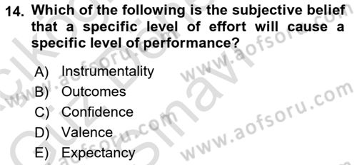 Human Resource Management Dersi 2022 - 2023 Yılı (Final) Dönem Sonu Sınav Soruları 14. Soru