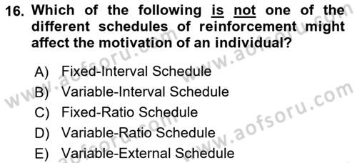 Human Resource Management Dersi 2022 - 2023 Yılı (Final) Dönem Sonu Sınav Soruları 16. Soru