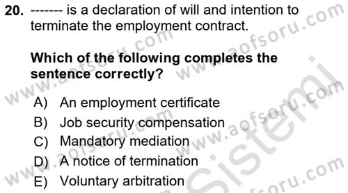 Human Resource Management Dersi 2022 - 2023 Yılı (Final) Dönem Sonu Sınav Soruları 20. Soru