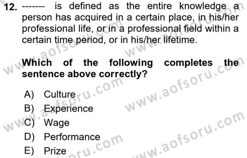 Human Resource Management Dersi 2022 - 2023 Yılı Yaz Okulu Sınav Soruları 12. Soru