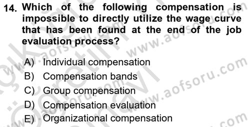 Human Resource Management Dersi 2022 - 2023 Yılı Yaz Okulu Sınav Soruları 14. Soru