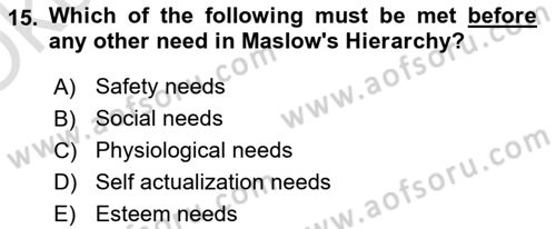 Human Resource Management Dersi 2022 - 2023 Yılı Yaz Okulu Sınav Soruları 15. Soru