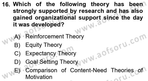 Human Resource Management Dersi 2022 - 2023 Yılı Yaz Okulu Sınav Soruları 16. Soru